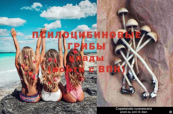 экстази Абаза