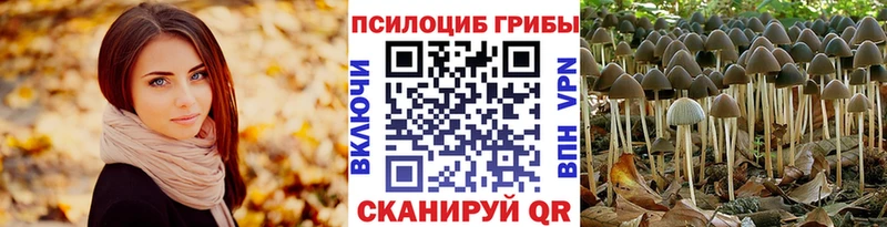 Псилоцибиновые грибы Cubensis  Кировград 